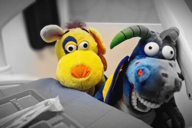Mascotas